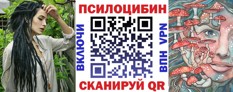 Галлюциногенные грибы Psilocybine cubensis  Алагир 